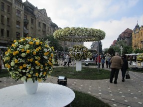 Blumenfestival in Timisoara